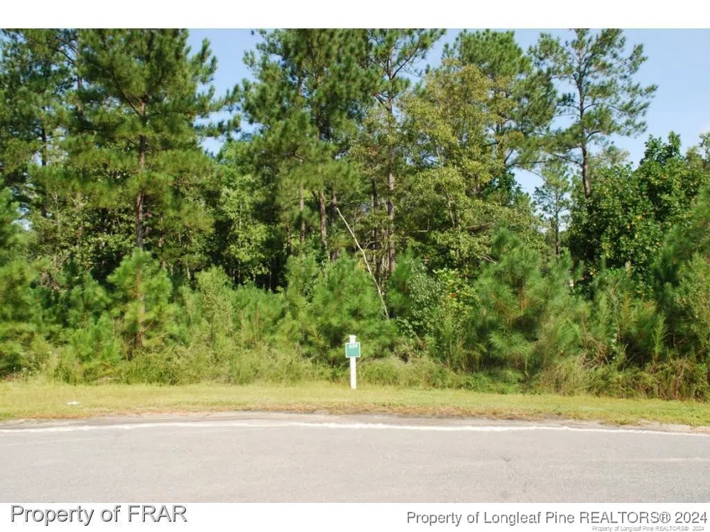 222 Broadlake (639) Lane Spring Lake, NC 28390