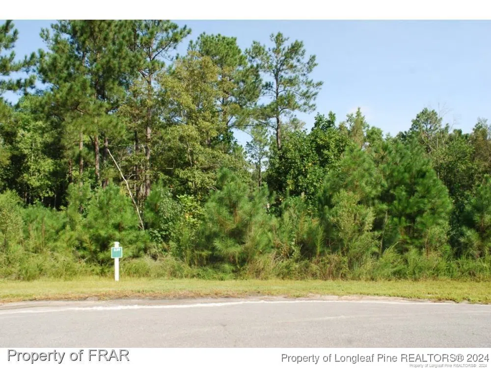 222 Broadlake (639) Lane Spring Lake, NC 28390