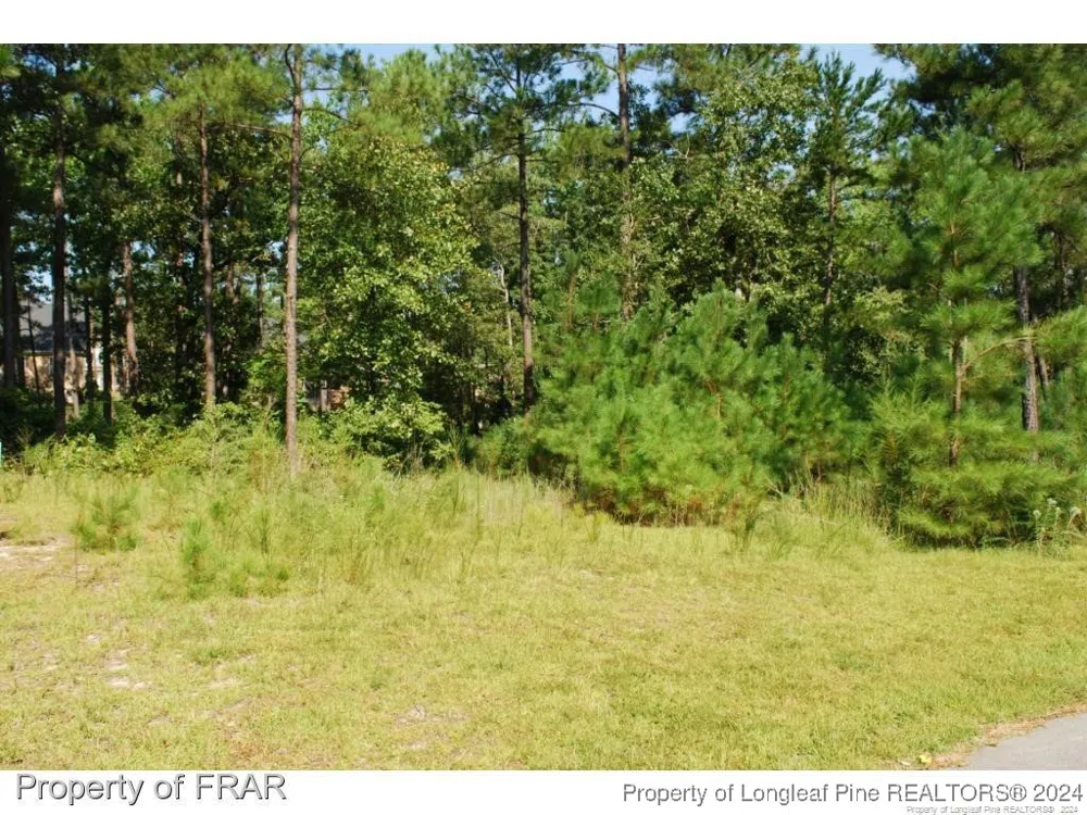 232 Broadlake (640) Lane Spring Lake, NC 28390