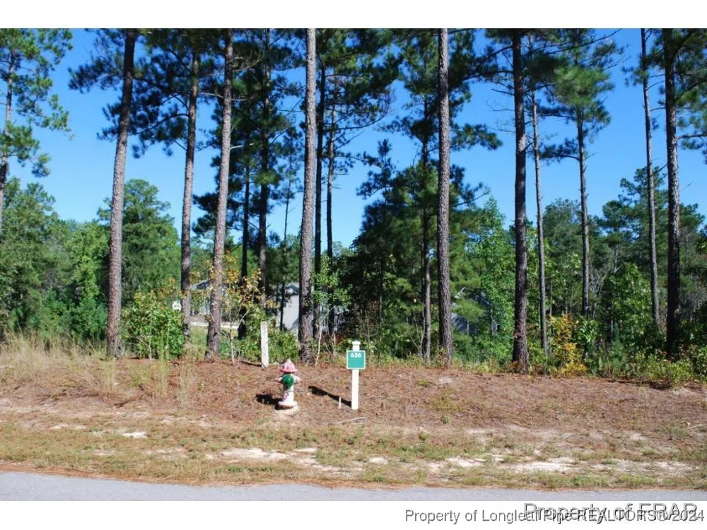 162 Broadlake (636) Lane Spring Lake, NC 28390