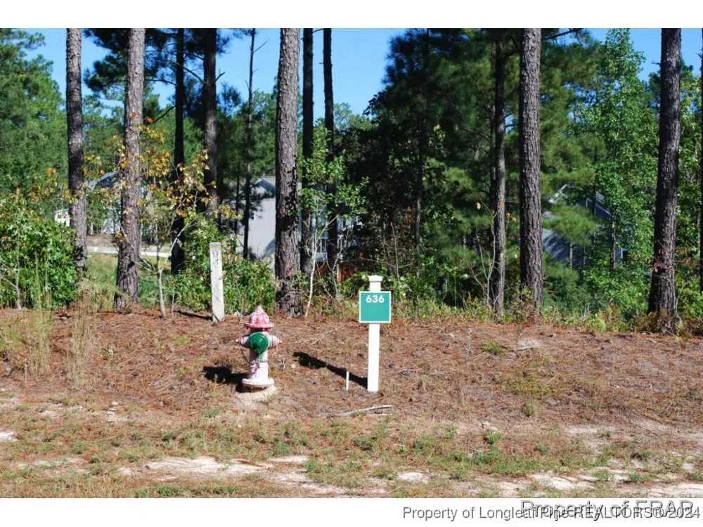 162 Broadlake (636) Lane Spring Lake, NC 28390