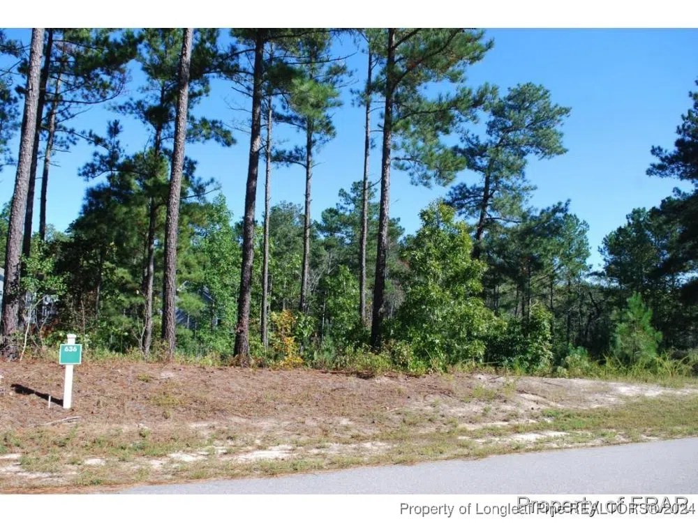 162 Broadlake (636) Lane Spring Lake, NC 28390