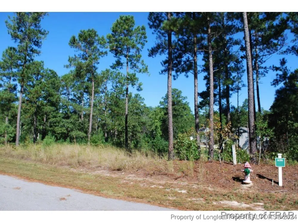 162 Broadlake (636) Lane Spring Lake, NC 28390