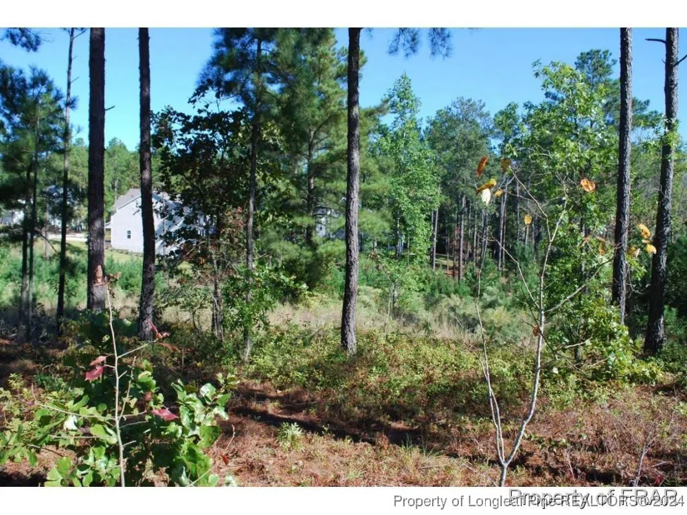 162 Broadlake (636) Lane Spring Lake, NC 28390