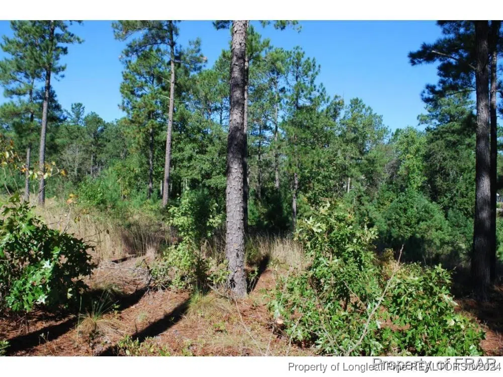 162 Broadlake (636) Lane Spring Lake, NC 28390