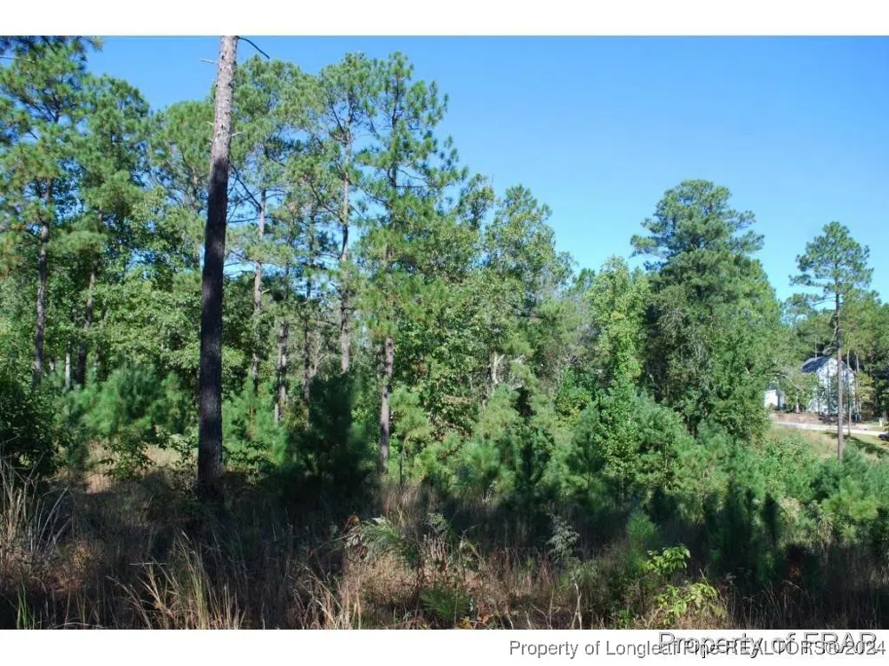 162 Broadlake (636) Lane Spring Lake, NC 28390
