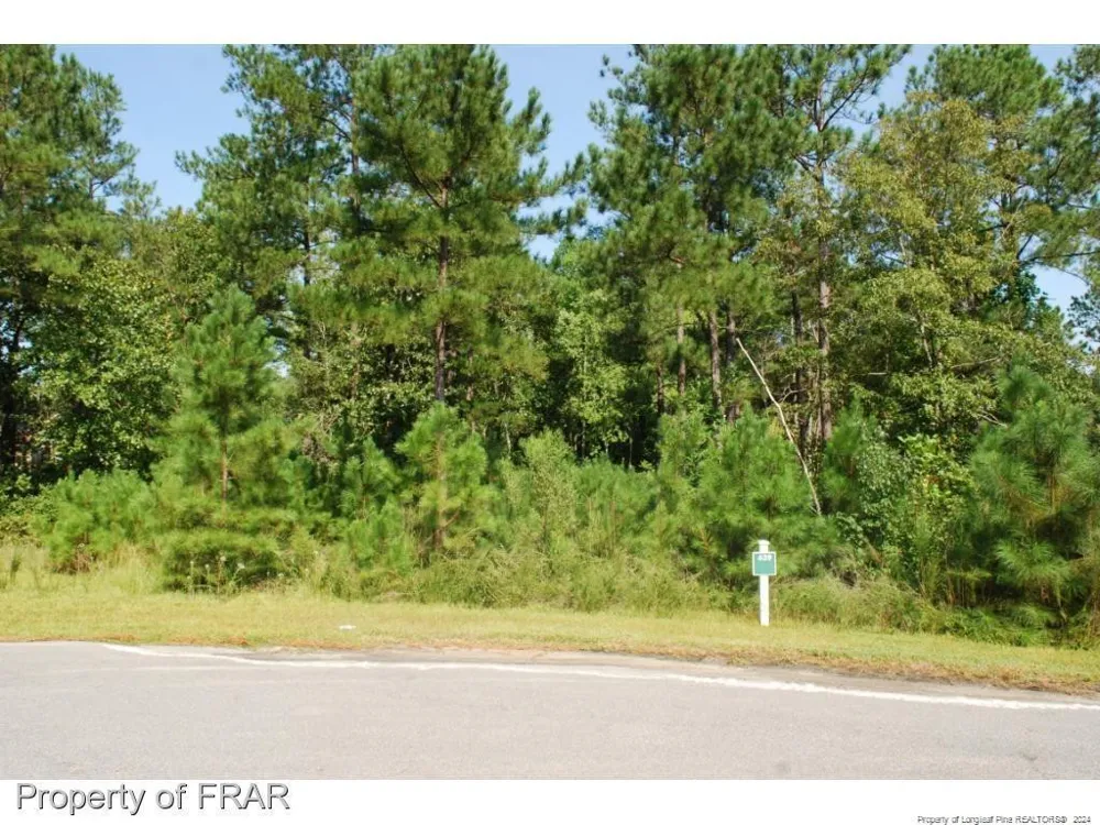 222 Broadlake (639) Lane Spring Lake, NC 28390