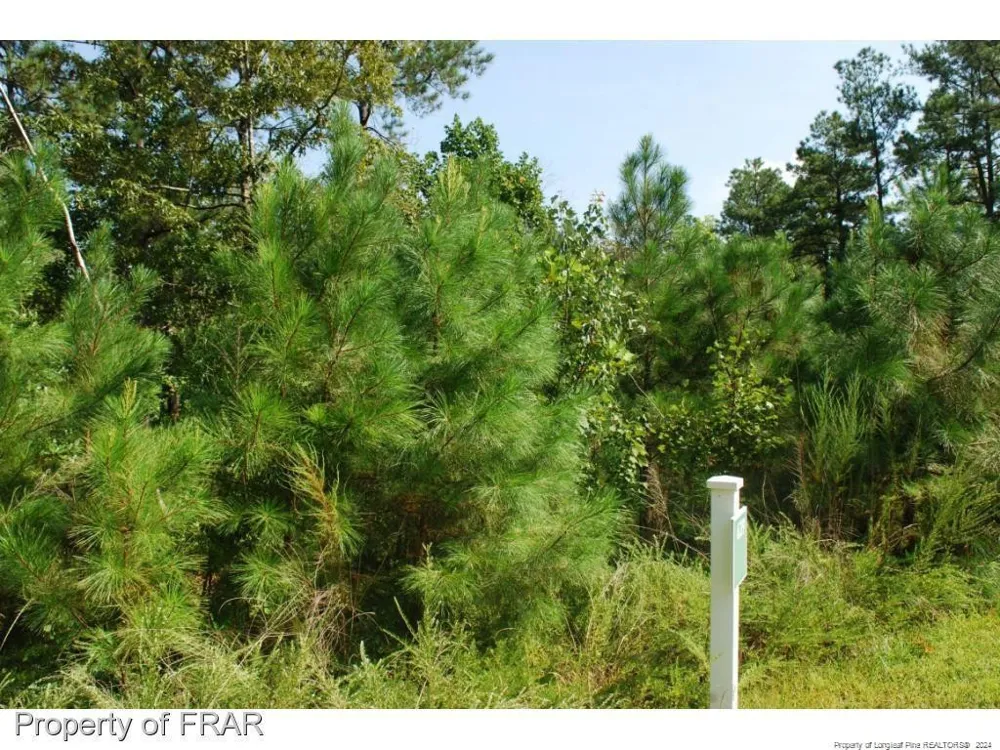 222 Broadlake (639) Lane Spring Lake, NC 28390