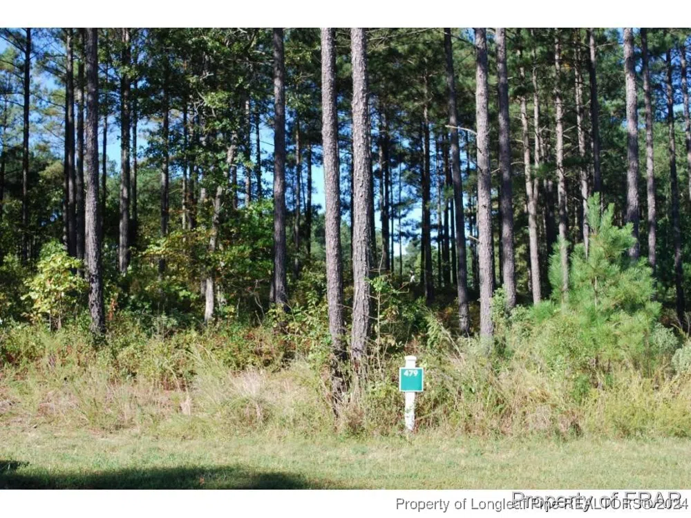 45 Broadlake (479) Lane Spring Lake, NC 28390