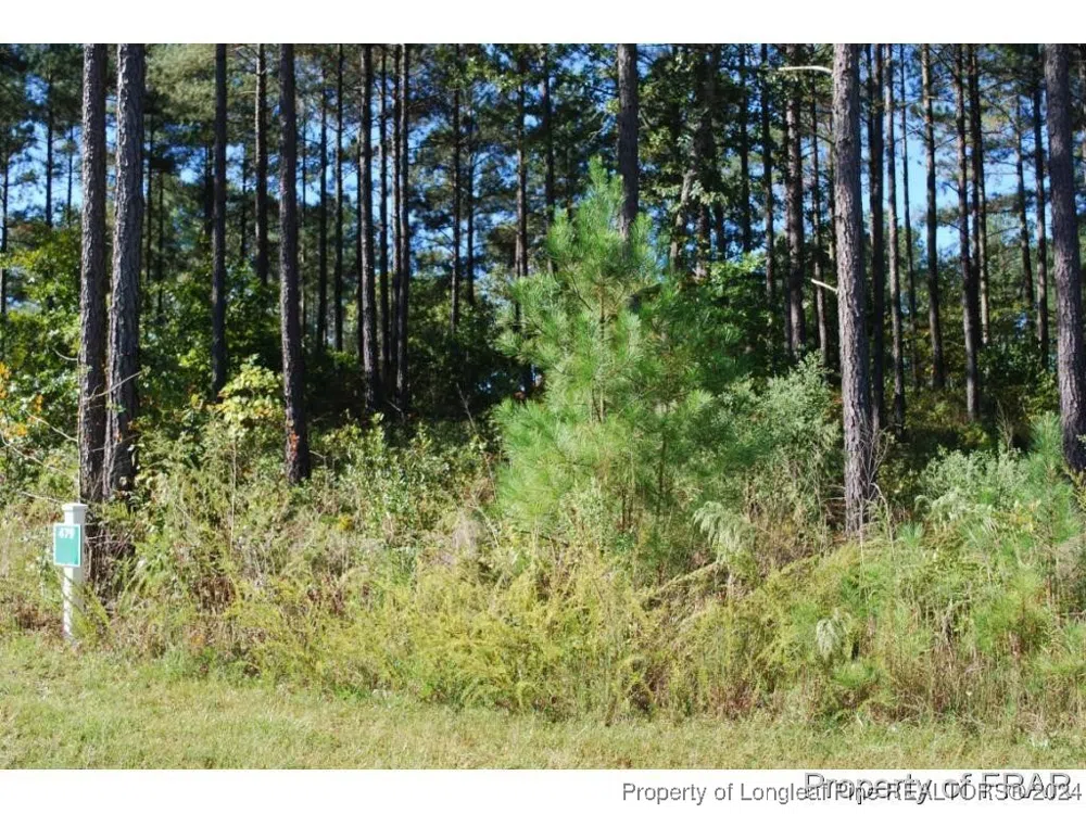 45 Broadlake (479) Lane Spring Lake, NC 28390