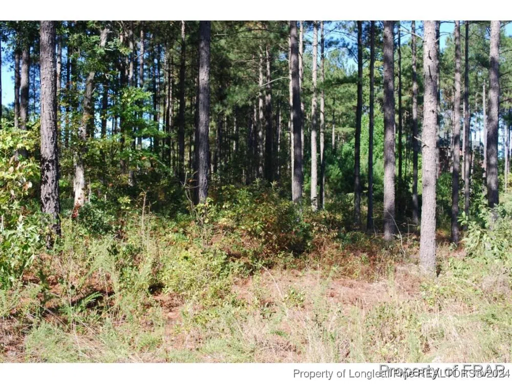 45 Broadlake (479) Lane Spring Lake, NC 28390