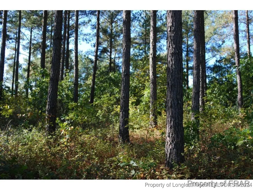 45 Broadlake (479) Lane Spring Lake, NC 28390