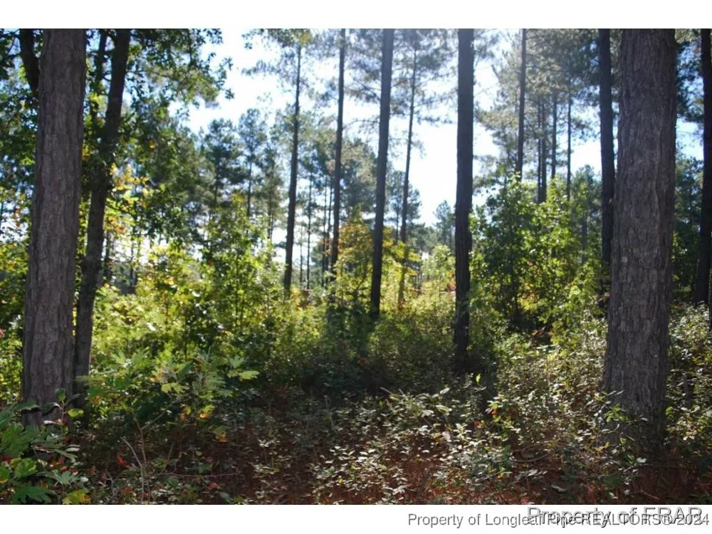 45 Broadlake (479) Lane Spring Lake, NC 28390