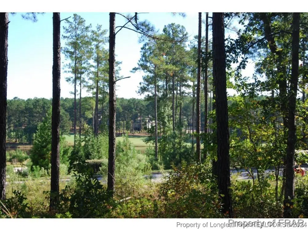 45 Broadlake (479) Lane Spring Lake, NC 28390