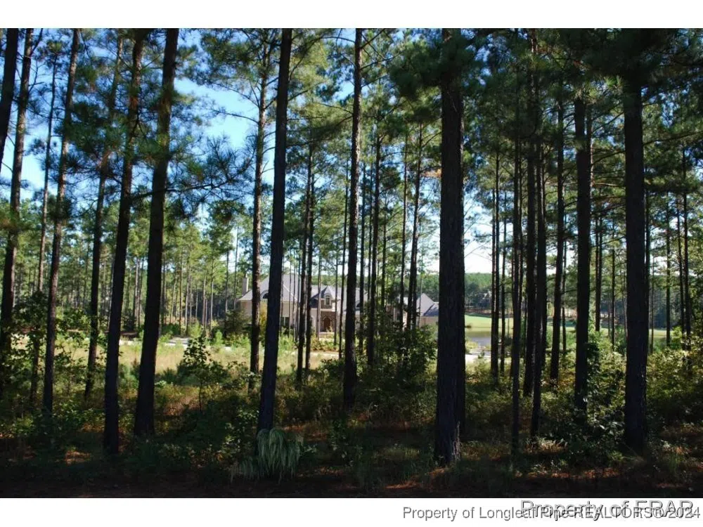45 Broadlake (479) Lane Spring Lake, NC 28390