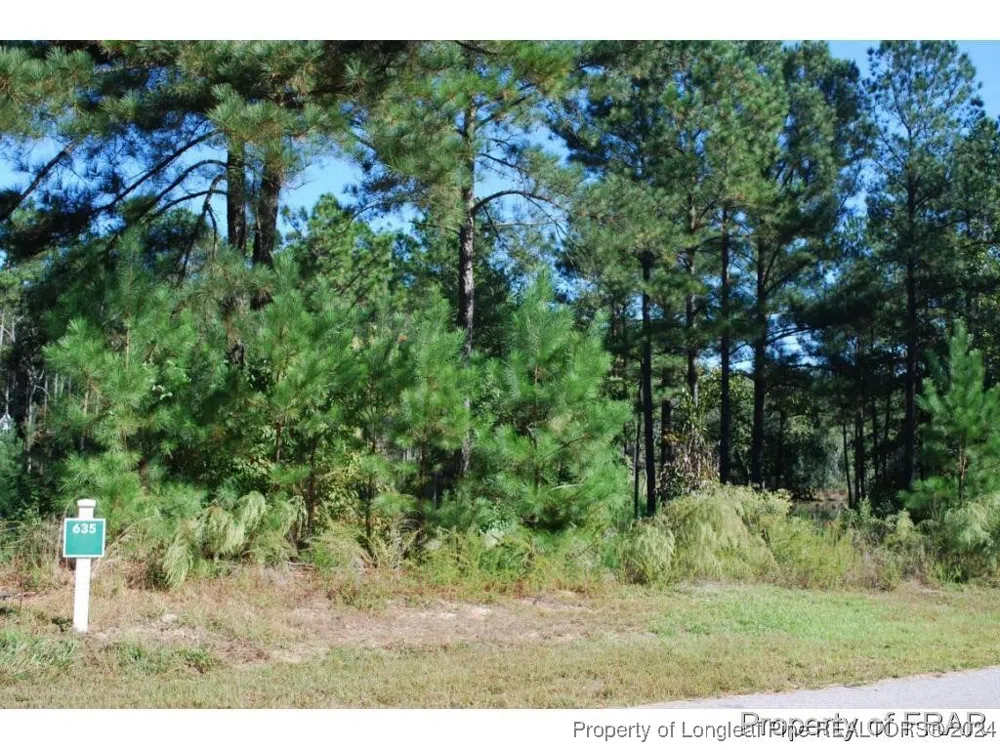152 Broadlake (635) Lane Spring Lake, NC 28390