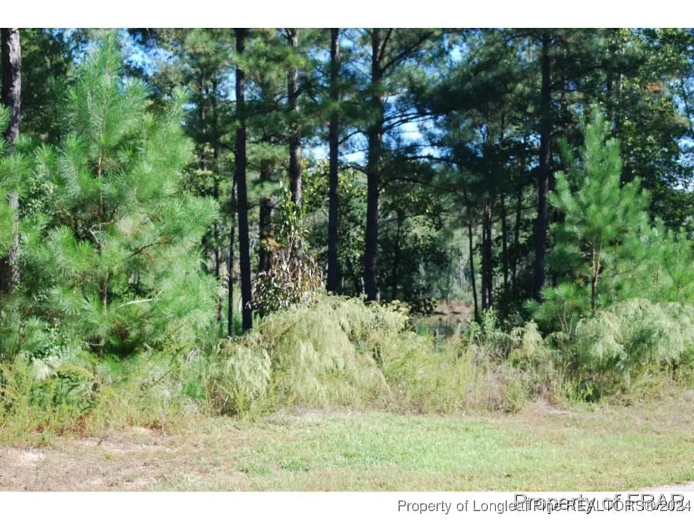 152 Broadlake (635) Lane Spring Lake, NC 28390