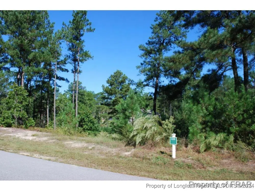 152 Broadlake (635) Lane Spring Lake, NC 28390