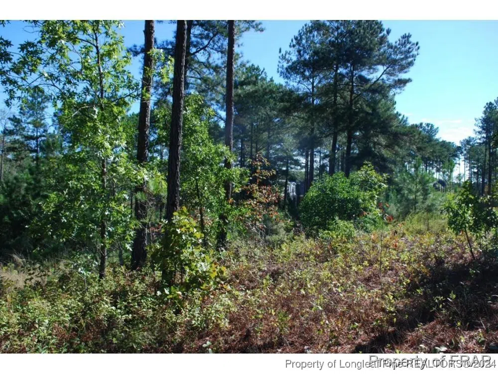 152 Broadlake (635) Lane Spring Lake, NC 28390