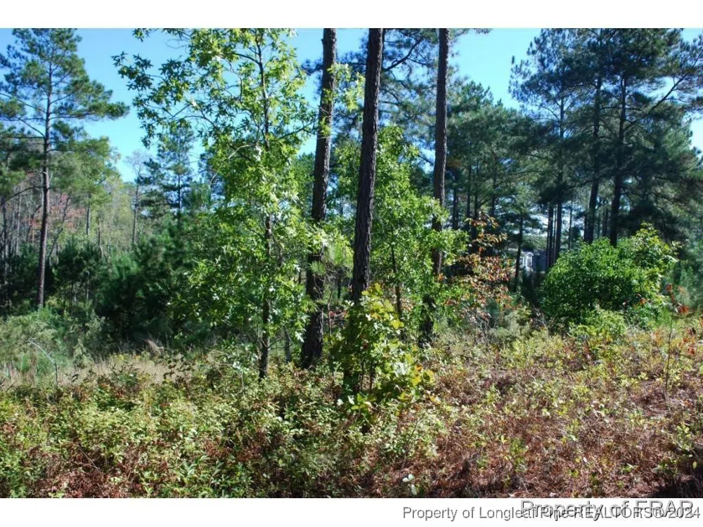 152 Broadlake (635) Lane Spring Lake, NC 28390