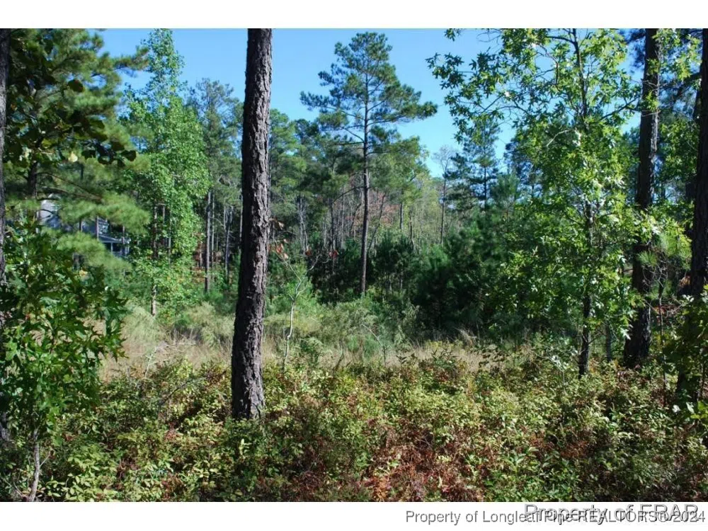 152 Broadlake (635) Lane Spring Lake, NC 28390