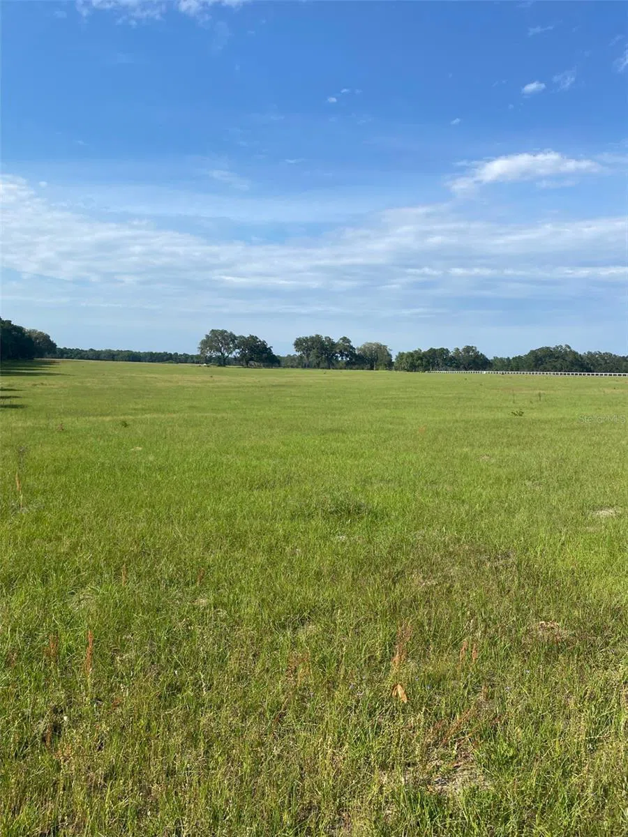 0 NW 163 TERRACE Morriston, FL 32668