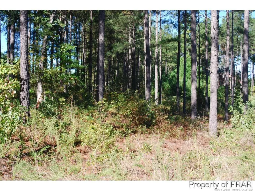 45 Broadlake (479) Lane Spring Lake, NC 28390