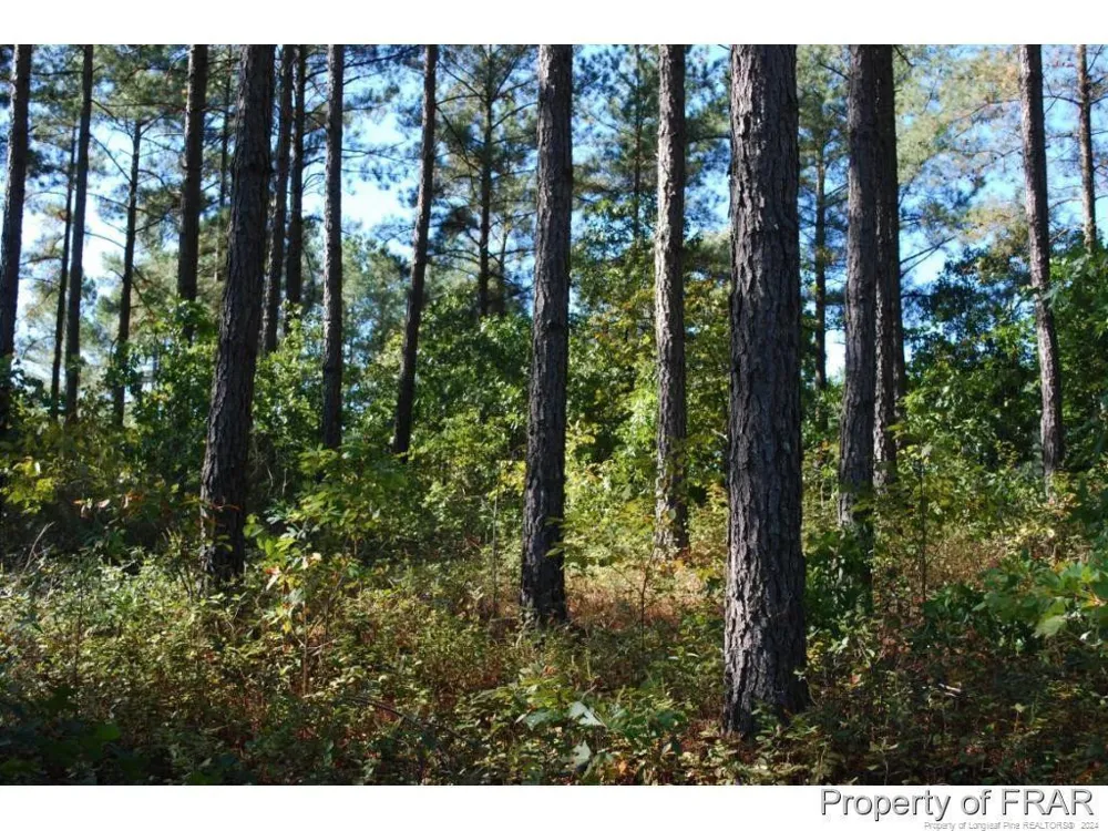 45 Broadlake (479) Lane Spring Lake, NC 28390