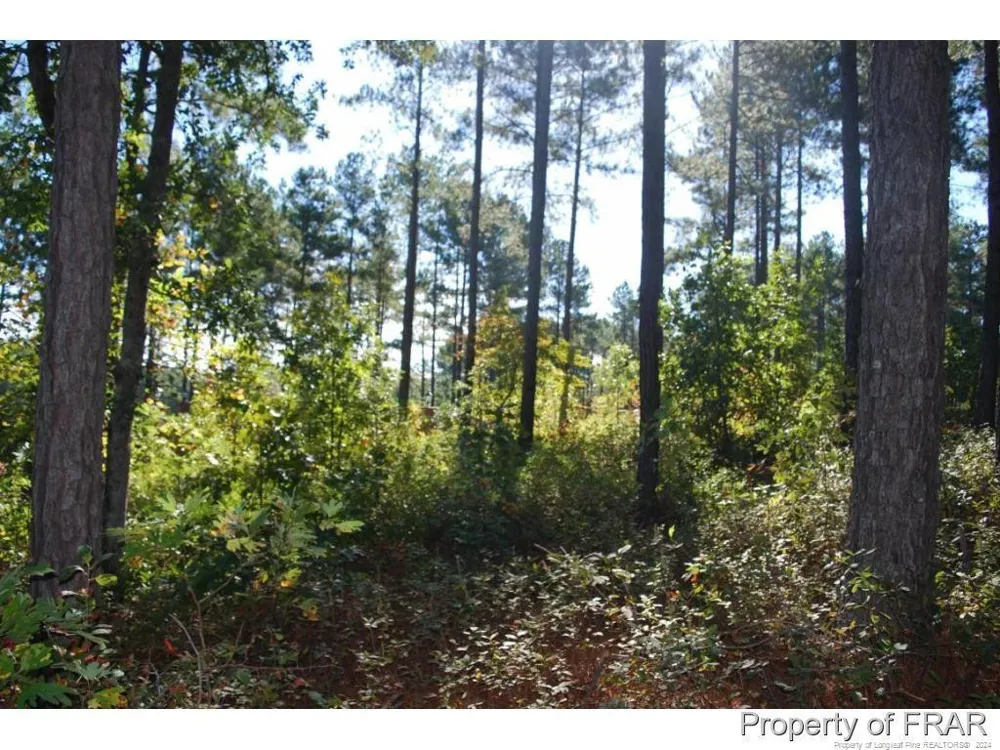 45 Broadlake (479) Lane Spring Lake, NC 28390