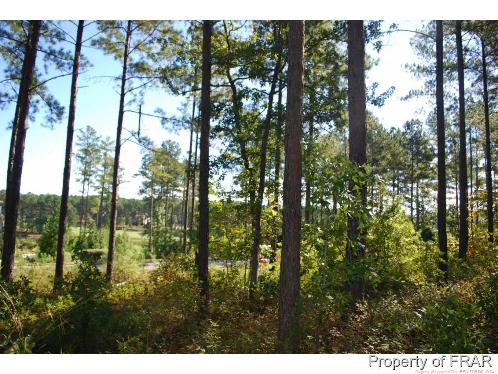 45 Broadlake (479) Lane Spring Lake, NC 28390