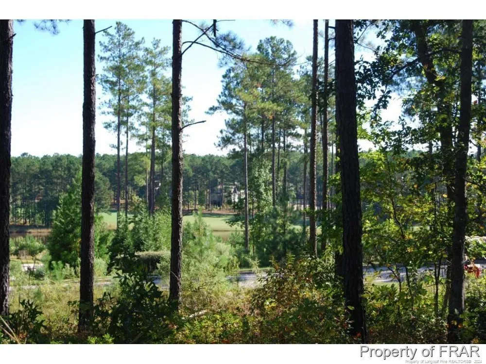 45 Broadlake (479) Lane Spring Lake, NC 28390