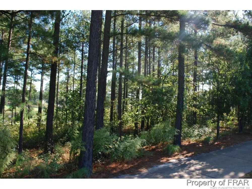 45 Broadlake (479) Lane Spring Lake, NC 28390
