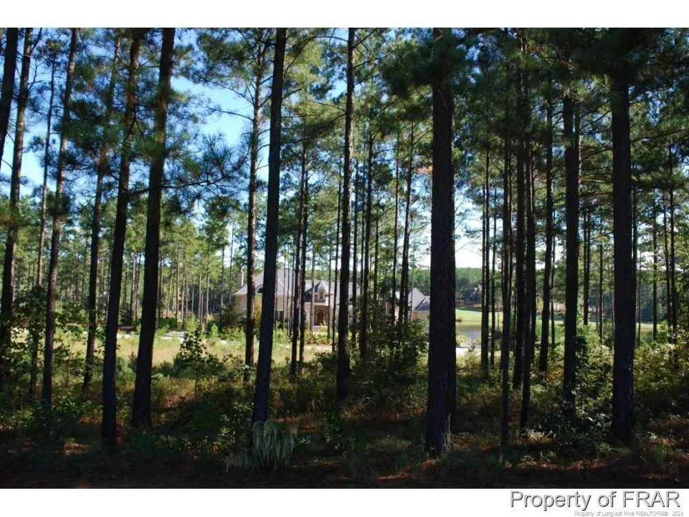 45 Broadlake (479) Lane Spring Lake, NC 28390