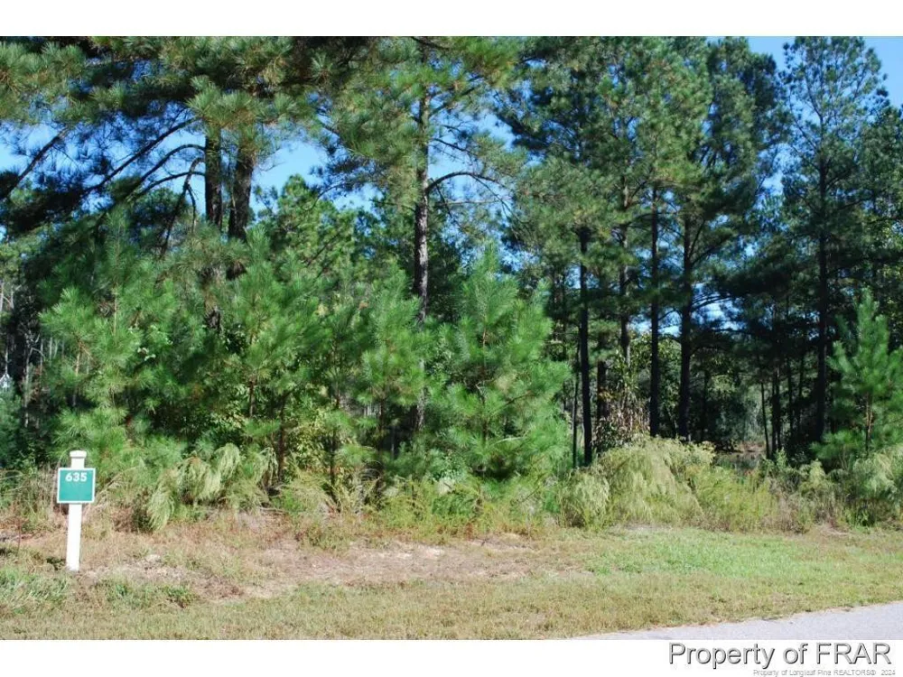 152 Broadlake (635) Lane Spring Lake, NC 28390