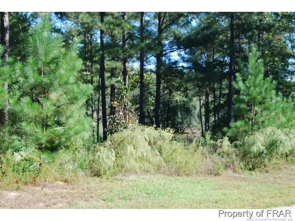 152 Broadlake (635) Lane Spring Lake, NC 28390