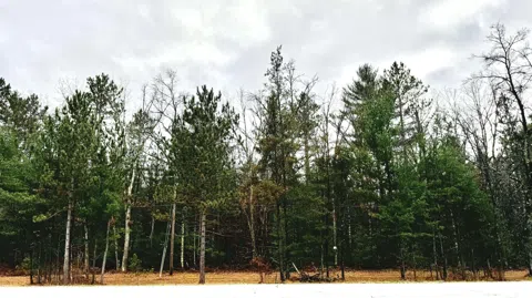 US-10