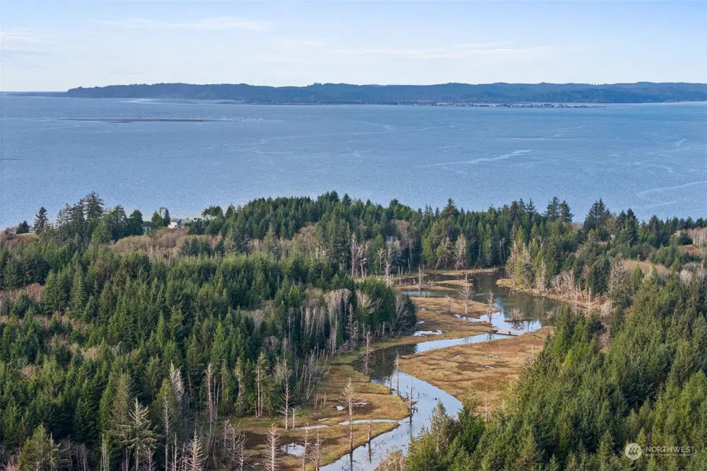 0 Wilson Lane South Bend, WA 98586
