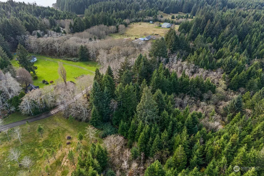 0 Wilson Lane South Bend, WA 98586