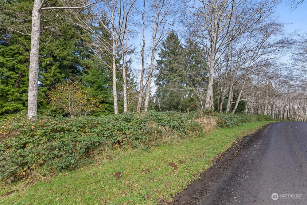 0 Wilson Lane South Bend, WA 98586