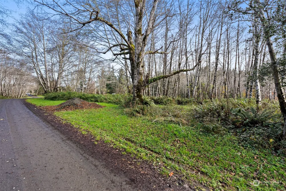 0 Wilson Lane South Bend, WA 98586