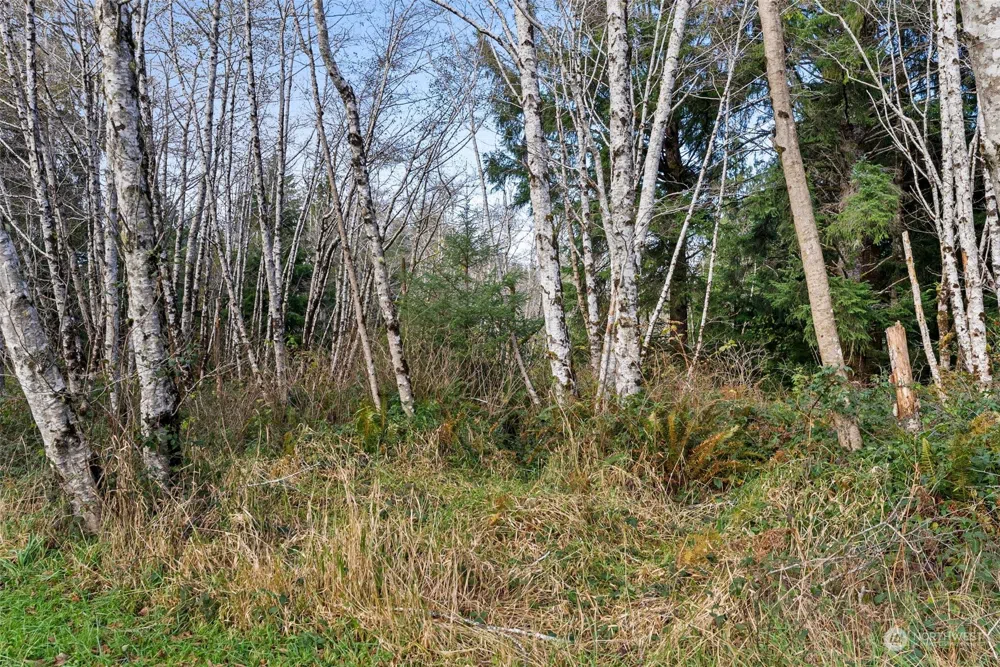 0 Wilson Lane South Bend, WA 98586