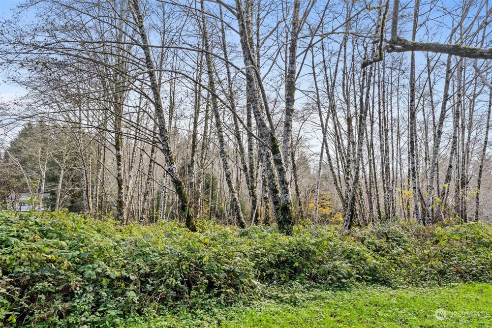 0 Wilson Lane South Bend, WA 98586