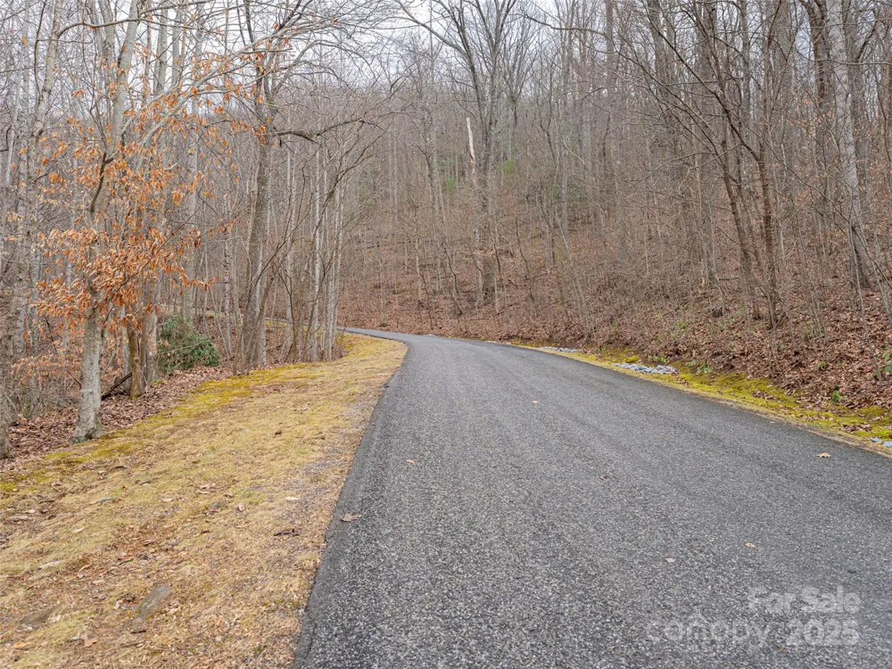 522 & 528 Blue Mist Way Arden, NC 28704