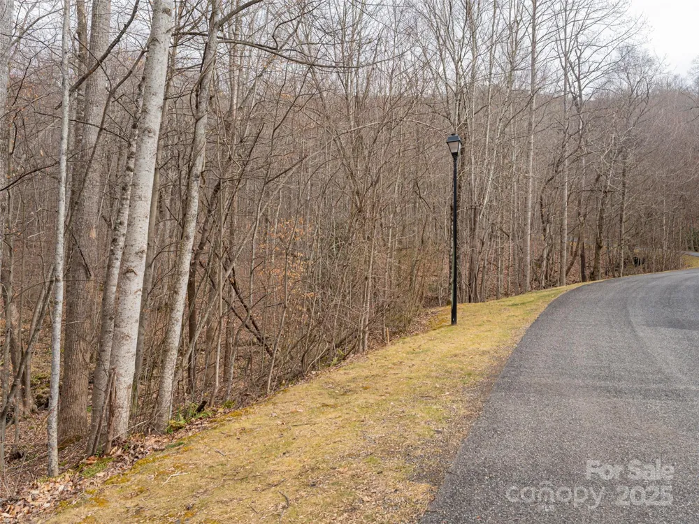 522 & 528 Blue Mist Way Arden, NC 28704
