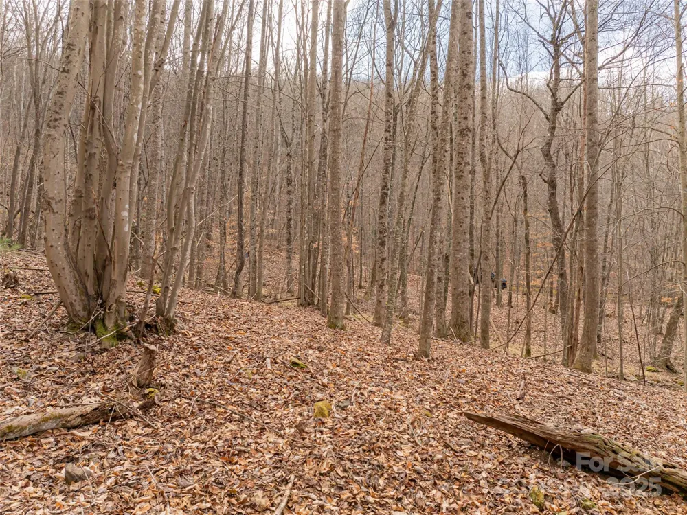 522 & 528 Blue Mist Way Arden, NC 28704