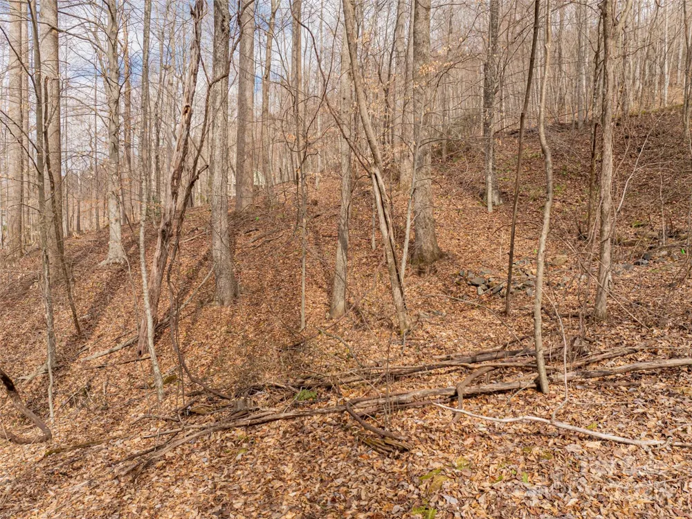 522 & 528 Blue Mist Way Arden, NC 28704