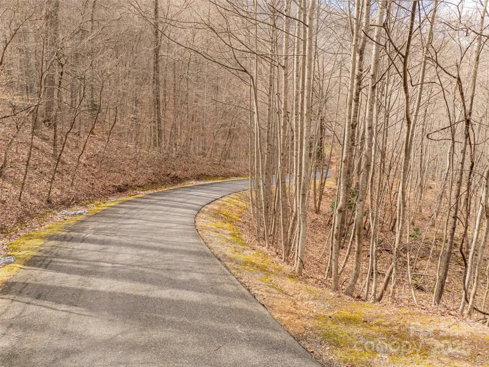 522 & 528 Blue Mist Way Arden, NC 28704