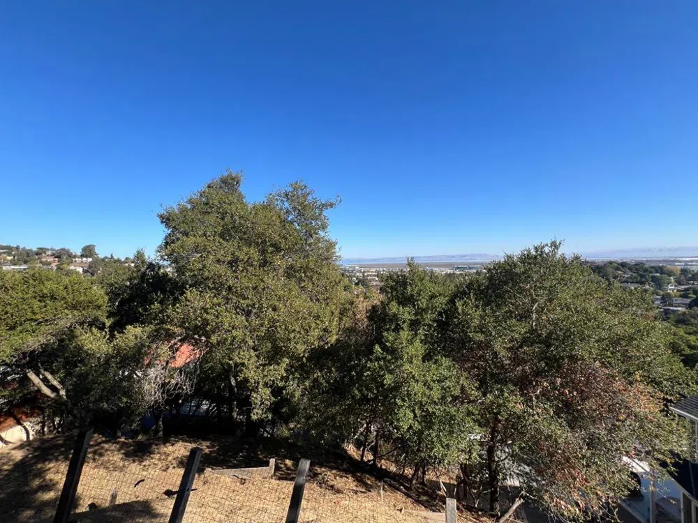 65 Madera Avenue San Carlos, CA 94070