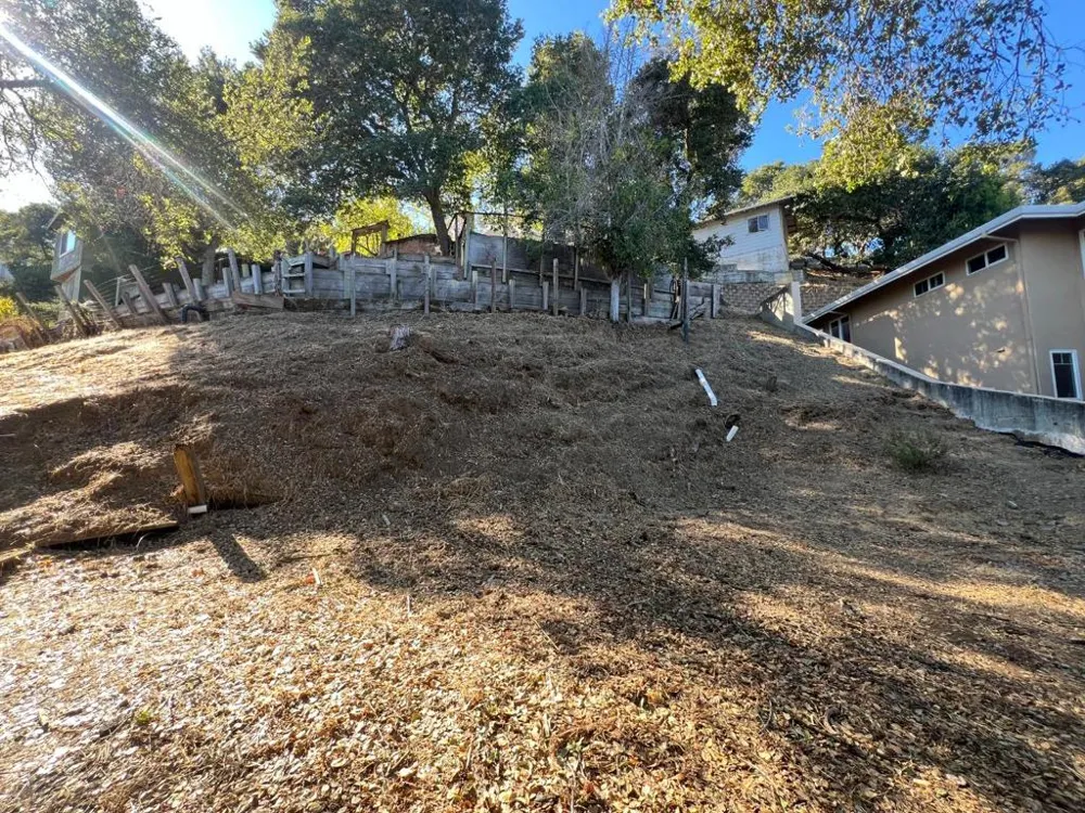 65 Madera Avenue San Carlos, CA 94070