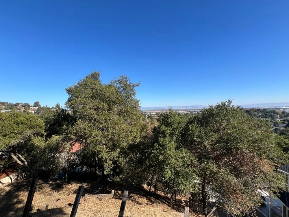 65 Madera Avenue San Carlos, CA 94070